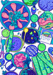 美食插画