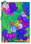 蔬菜插画