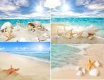 沙滩海星海景高清风景画