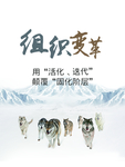 组织变革