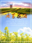 油菜花海