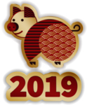2019猪