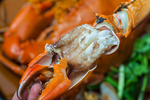 海蟹肉