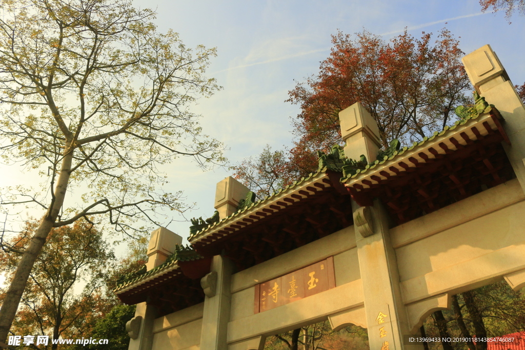 枫叶 黄 风景 叶 暖色