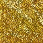 金色背景底纹