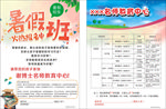 暑假班招生宣传单