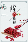 枸杞养生海报图片