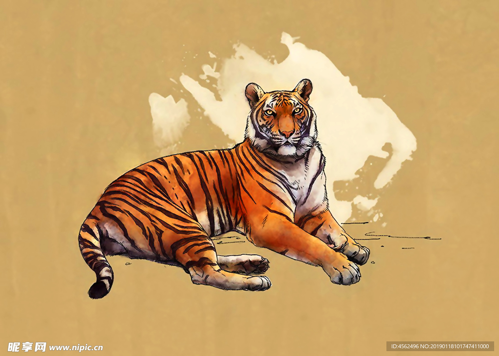 老虎插画