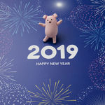 喜迎2019