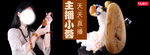 琥珀海报