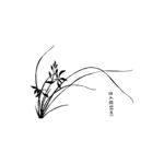兰花