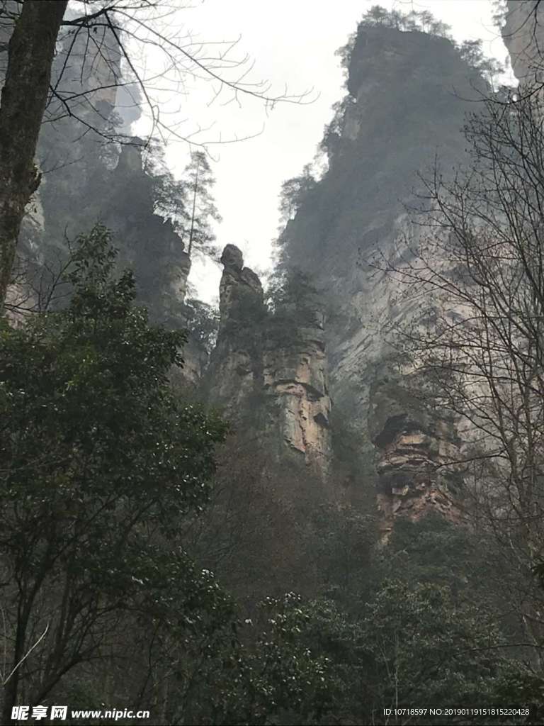 户外景观