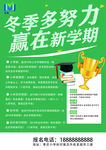 冬季多努力冬令营寒假补习班彩页