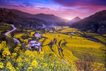 美丽的田园景色图片
