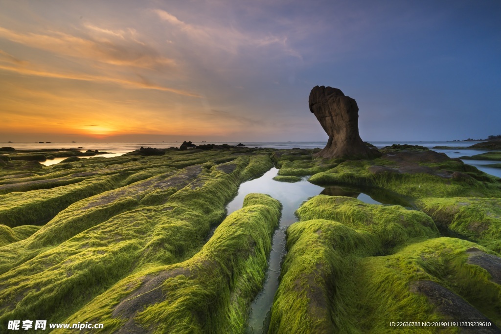 海洋绿草河沟仙境自然风景壁纸