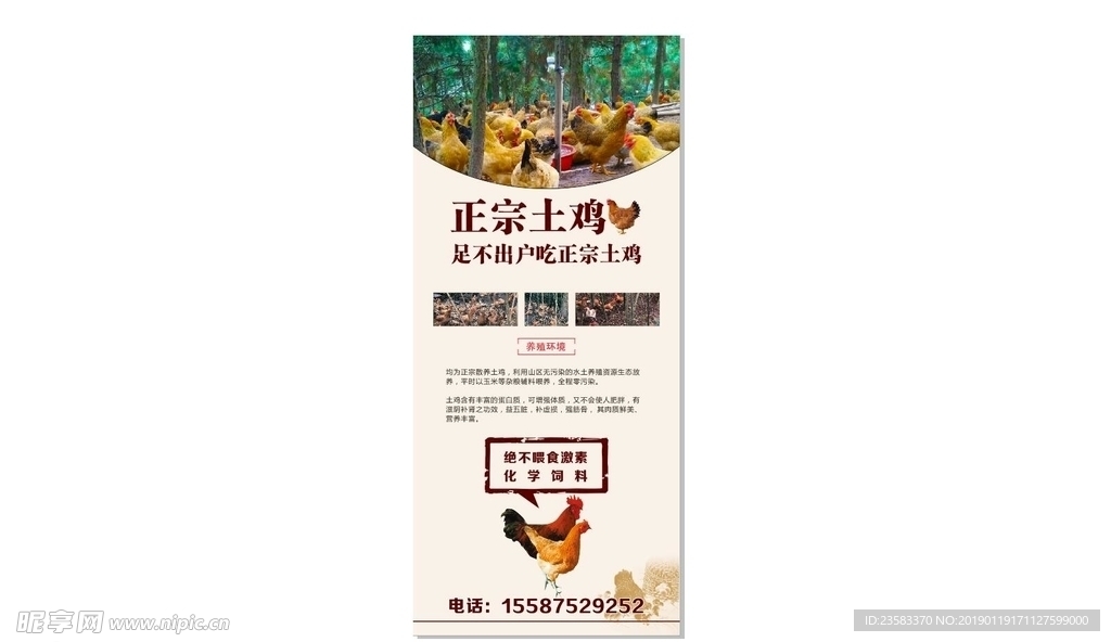 土鸡展架