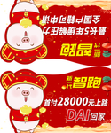 2019猪年异形三角形车顶牌