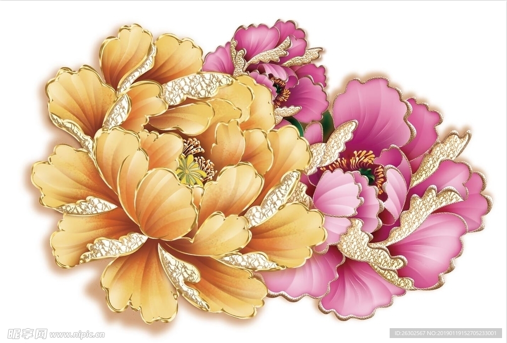 金边牡丹花