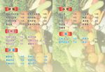 菜谱DM单