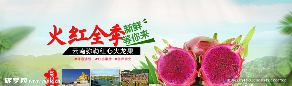 红心火龙果宣传图