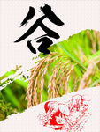 稻谷