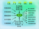 压力疾病背景海报