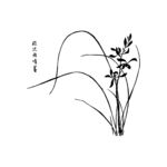 兰花