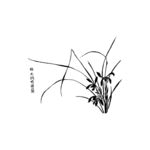 兰花