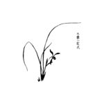 兰花