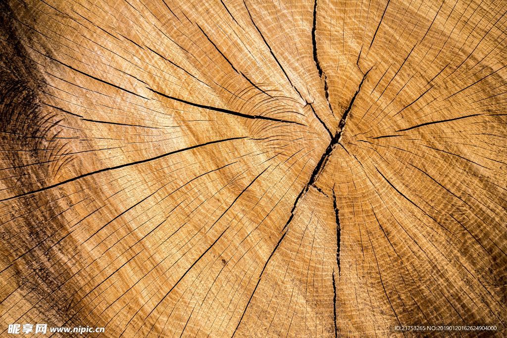 木纹纹理