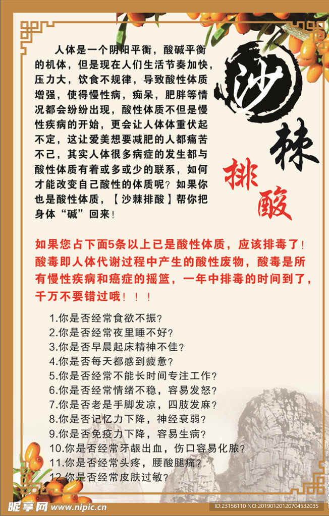 沙棘