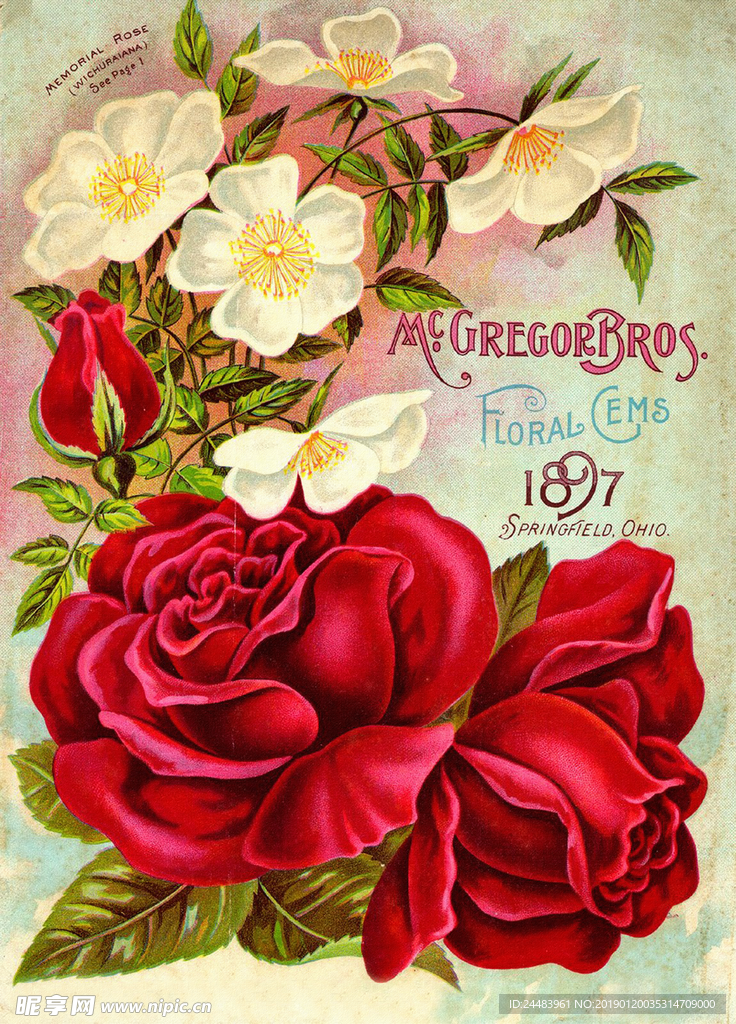 玫瑰花复古海报