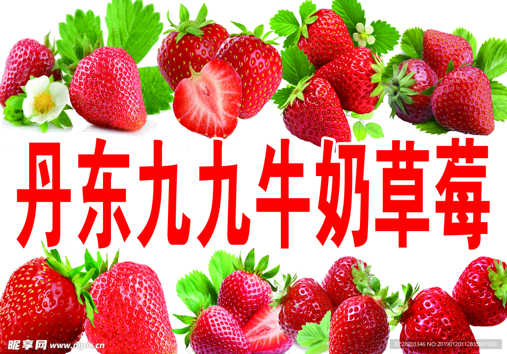 草莓 食品 背景 夏天