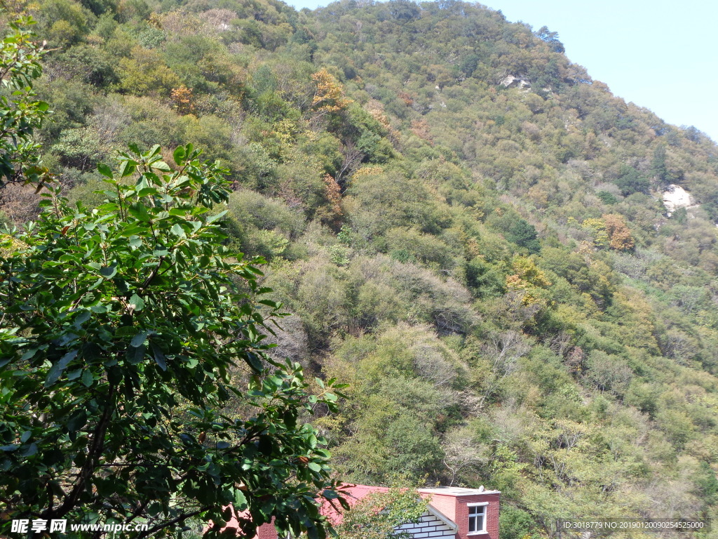 花果山