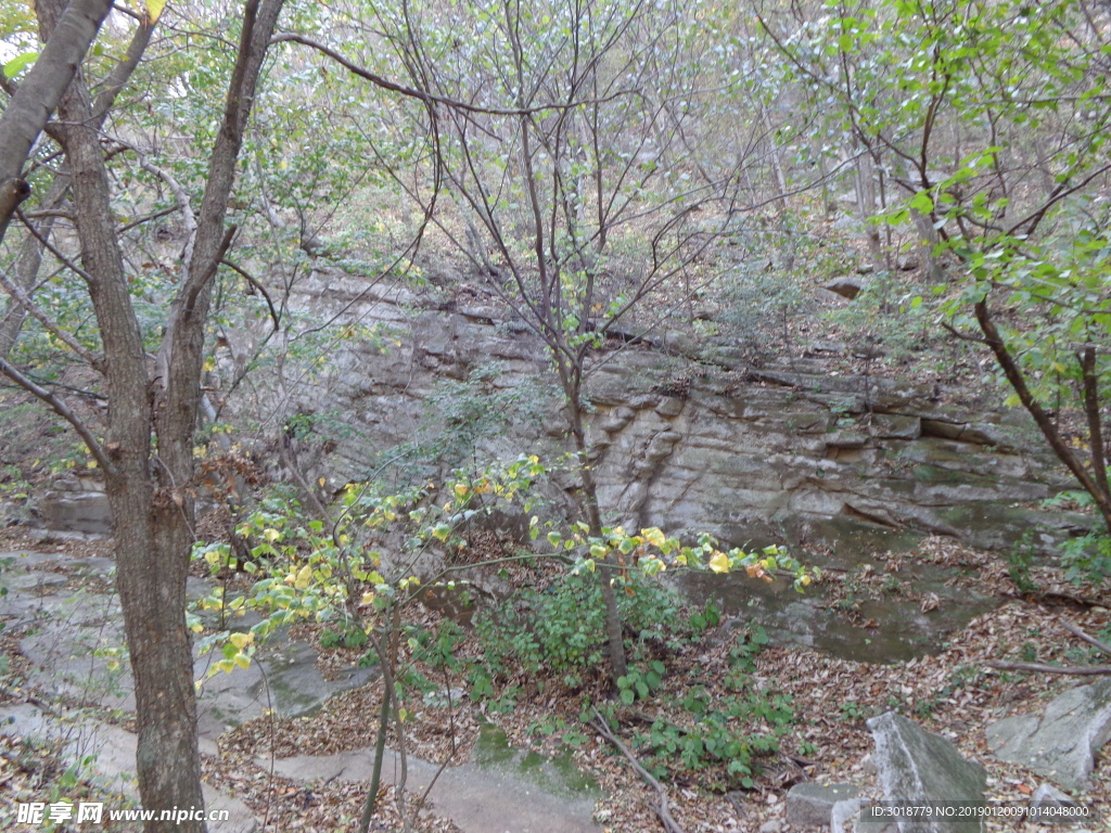 花果山