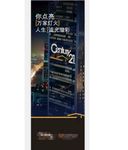 21世纪广告