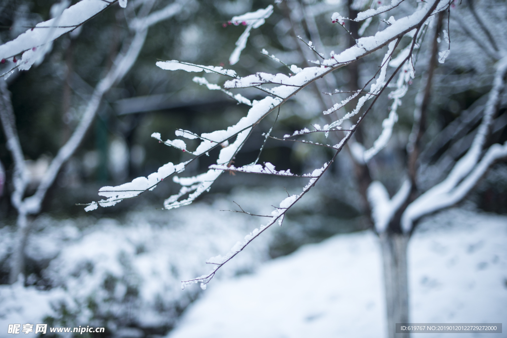 大雪