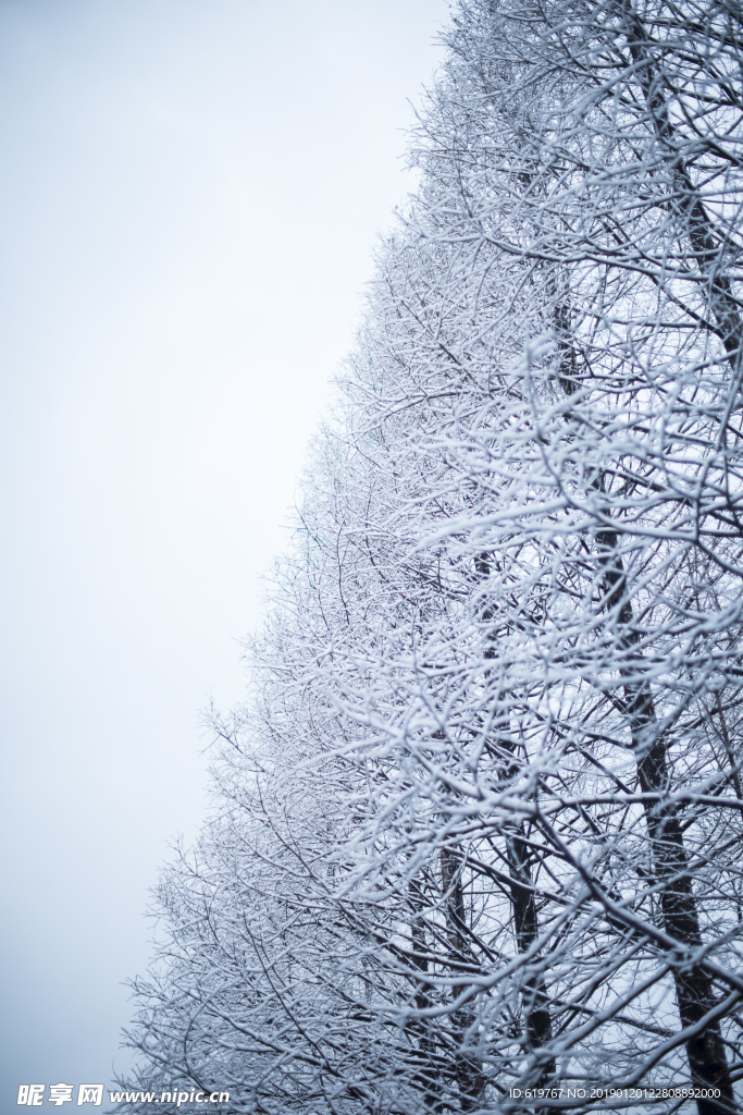 大雪
