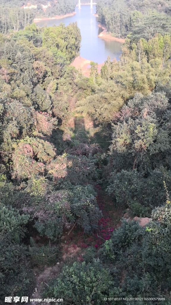 美丽风光