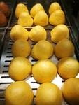 窝窝头