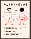 穴位图