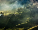 山林 绿植 风景