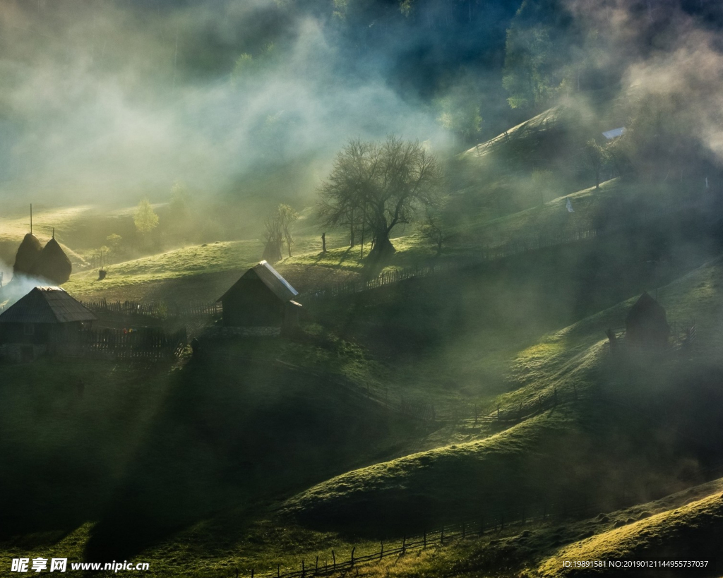 山林 绿植 风景