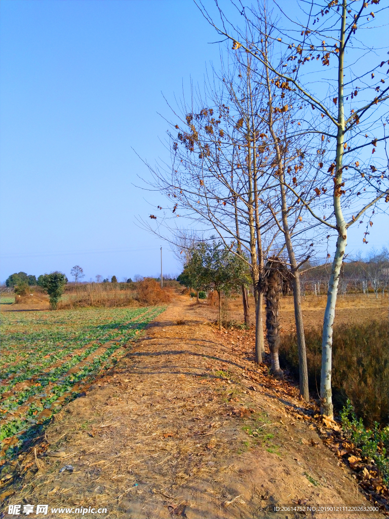 深秋时节的乡村风景