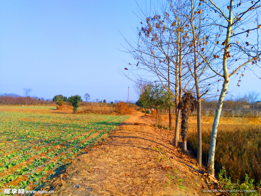 深秋时节的乡村风景