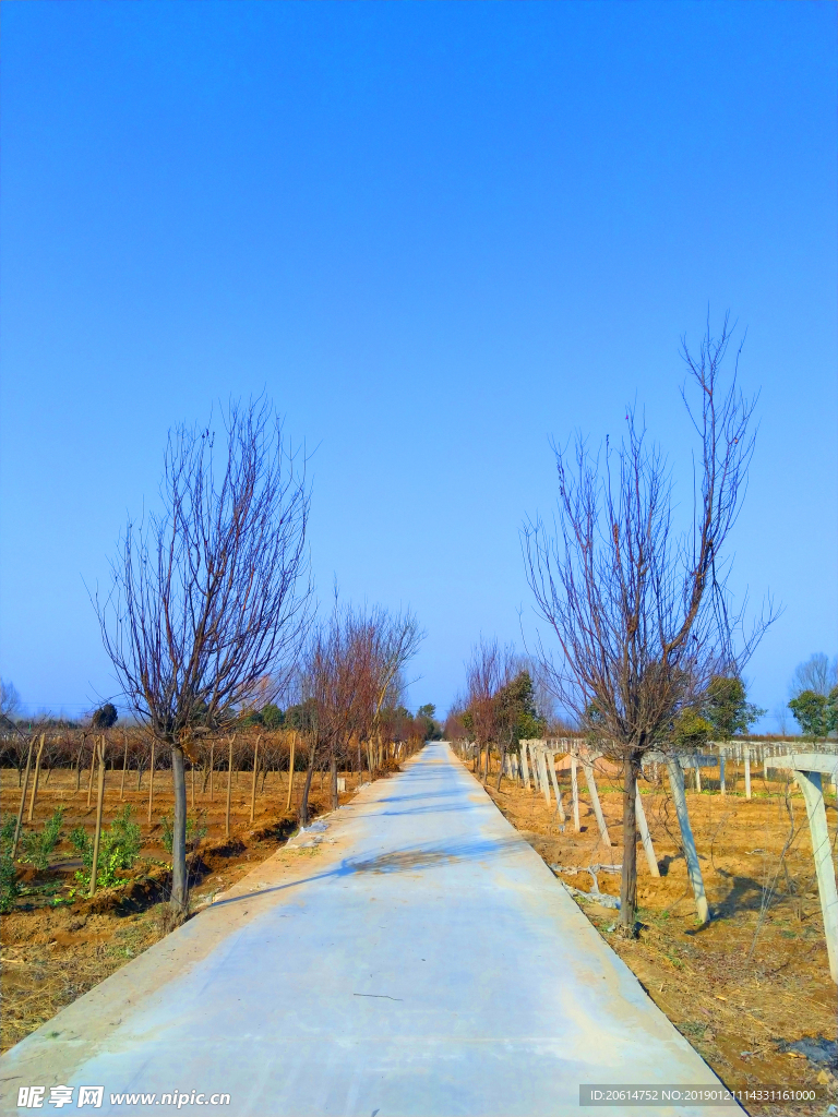 深秋时节的乡村风景