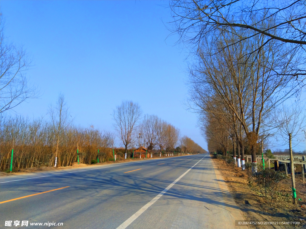 蓝天下的乡村道路风景