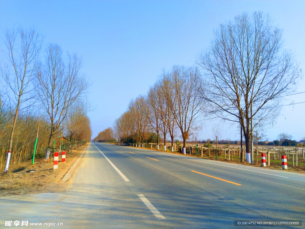 蓝天下的乡村道路风景