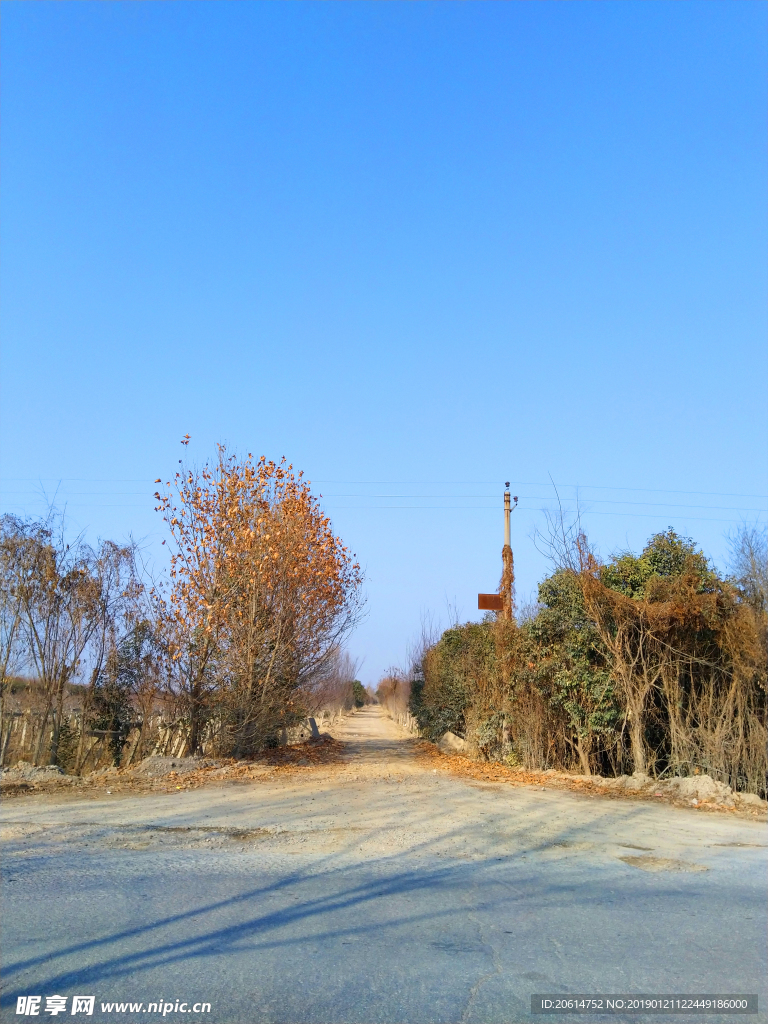 美丽的乡村风景