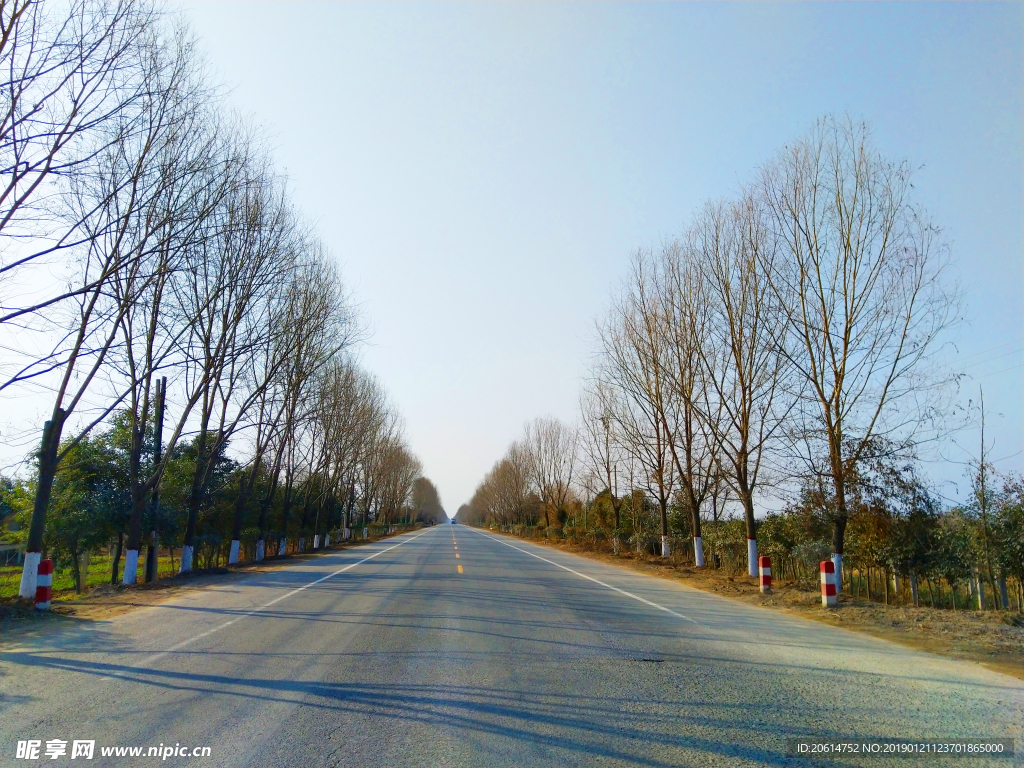 蓝天下的乡村道路风景